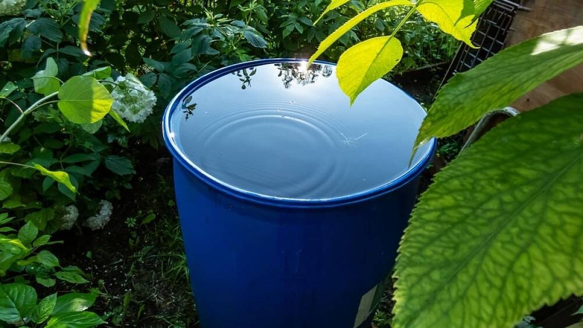 Jak udržet vodu v sudu čistou: Pomáhá víko, síť i omezení světla