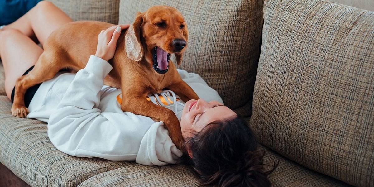 Co znamená, když vám pes strká hlavu mezi nohy. Pravdu netuší 90 % zkušených chovatelů
