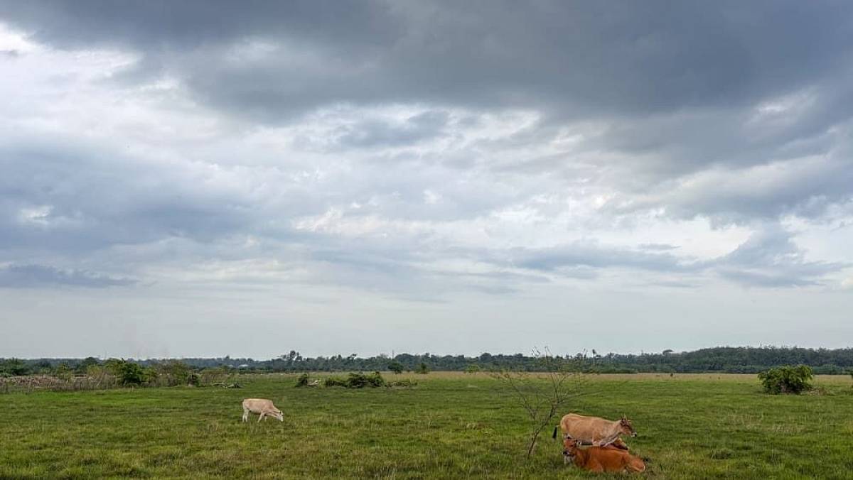 Meteorologové vydali důrazné varování. Přijde brutální ochlazení. Česko by se mělo připravit na nejhorší
