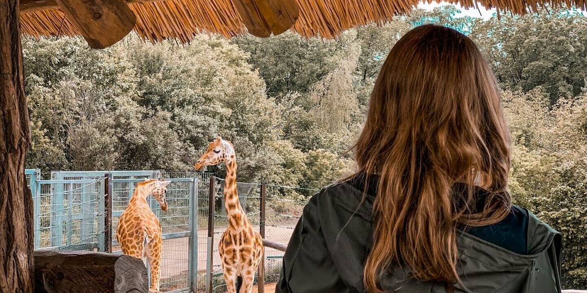 Patří mezi nejkrásnější zoologické zahrady v Evropě. Přesto většina Čechů míří jinam