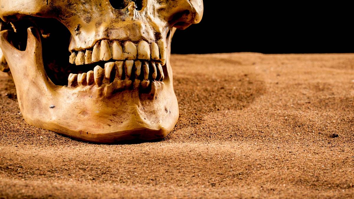 Donedávna jsme měli třetí ruku: Vědci popsali vývoj zubů člověka za posledních 6000 let