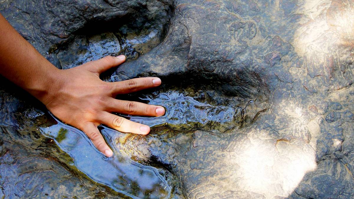 Aktuálně: Obrovské stopy dinosaurů odhalilo sucho na dně texaské řeky