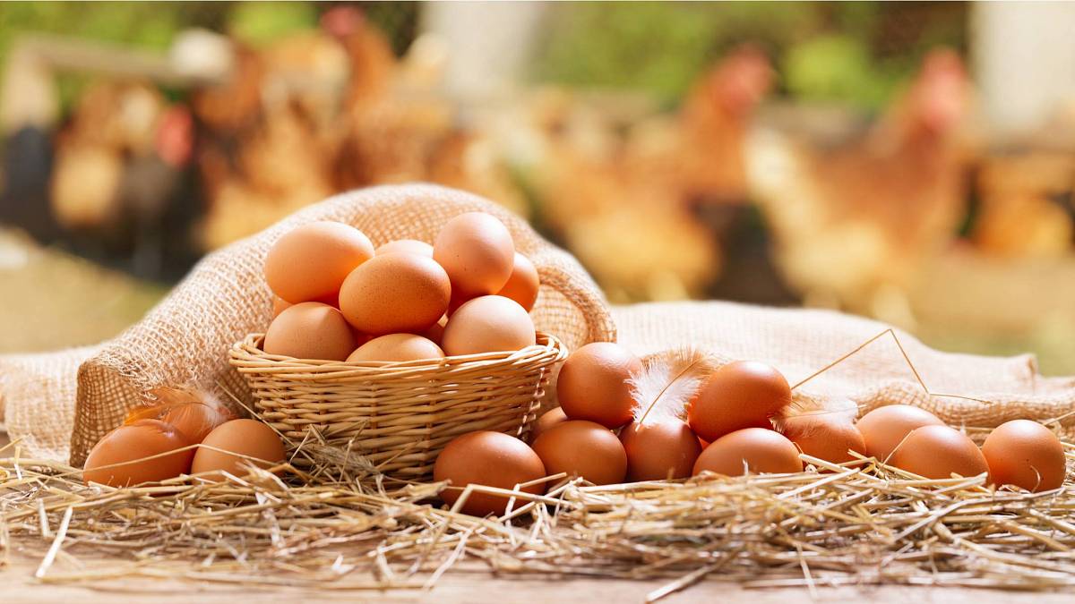 Nenechte zkazit vejce: Zmrazte nejen syrový bílek, ale i žloutek. A rozmrazte pouze tolik, kolik potřebujete