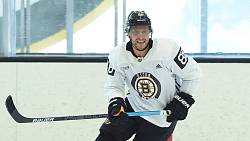 Tři čeští hokejisté v TOP 100 výdělků v NHL. Pod miliardu a půl nejdou, Pastrňák bral astronomickou částku