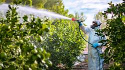 4. místo v EU: Česká republika snížila prodej pesticidů téměř o čtvrtinu