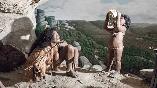 Z tropů do zimy: První Maoři se museli na Novém Zélandu přizpůsobit velice rychle. Kořeny kapradí pomohly k záchraně