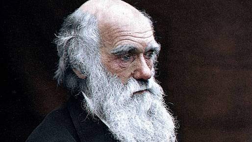 Charles Darwin zkoumal mnoho zvířat. Všechna je i ochutnal. Co všechno bylo na jeho jídelníčku?