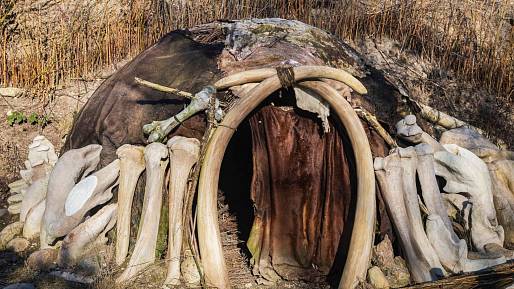 Neandrtálci nežili v jeskyních a zřejmě ani ne ve starší době kamenné