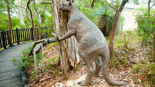 Obří australské klokany vyhubili pravěcí aboridžinci, nikoli doba ledová