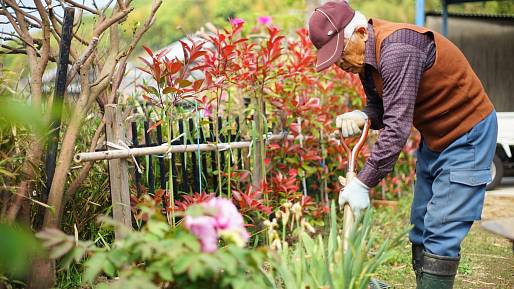 „Do tří toho stihne víc než já za celý týden“ aneb Podívejte se, jak tráví svůj den čiperný 95letý Japonec