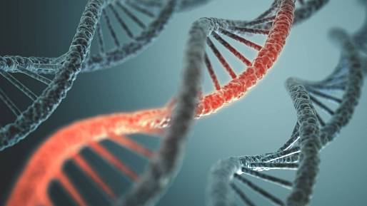 Analýza DNA odhalila původ Čechů: Češi nejsou Slované