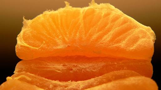 Rosolovité citrusy stříkají „opalovákem“. Pak z nich teče šťáva jak z kohoutku
