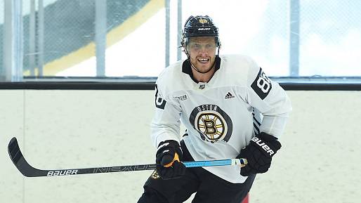 Tři čeští hokejisté v TOP 100 výdělků v NHL. Pod miliardu a půl nejdou, Pastrňák bral astronomickou částku