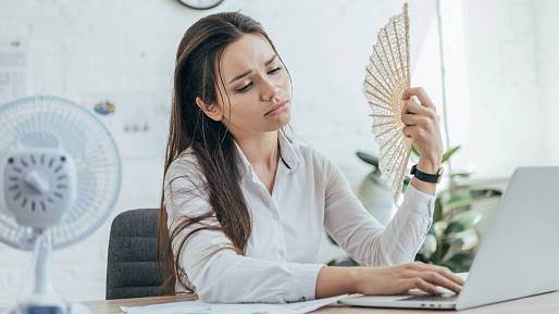 Vy jste ti, co „milují léto“? Až tohle zažijete, přestanete