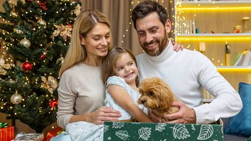 Živý dárek pod stromečkem: Radost na chvíli, starost na roky