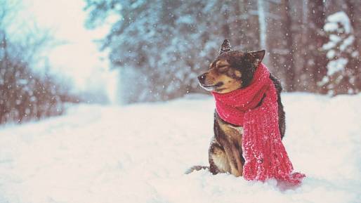 Meteorologové právě přepsali mapy. Do Česka vtrhne extrém, na který nebudeme v únoru vůbec připraveni