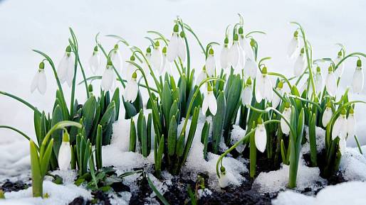 Meteorologové právě vydali nejvážnější varování letošního roku: Únor bude kritický