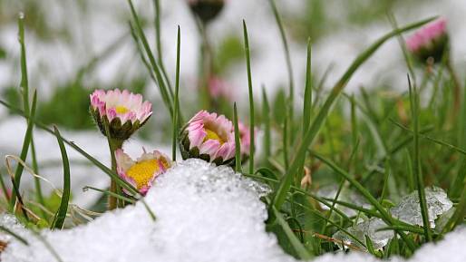Meteorologové vydali první přesnější předpověď na jaro. Nic dobrého Česko nečeká