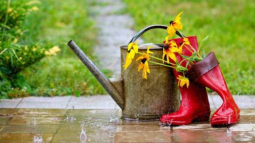 Meteorologové zveřejnili předpověď na březen. Bude extrémní, varují především seniory