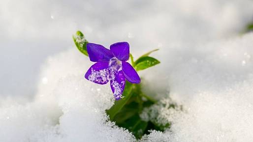 Meteorologové právě vydali varování. V noci z pátku na sobotu přijde teplotní šok. Některé regiony nemine sněhová vánice