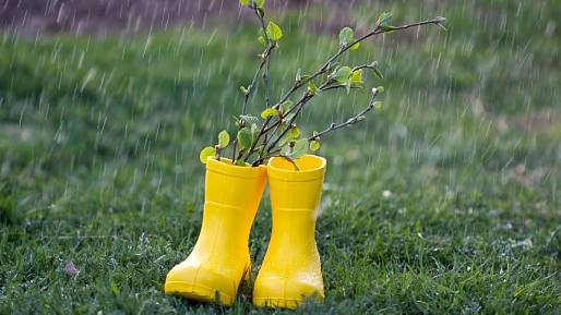 Meteorologové odhalili předpověď na duben. Čeká nás počasí jako na houpačce