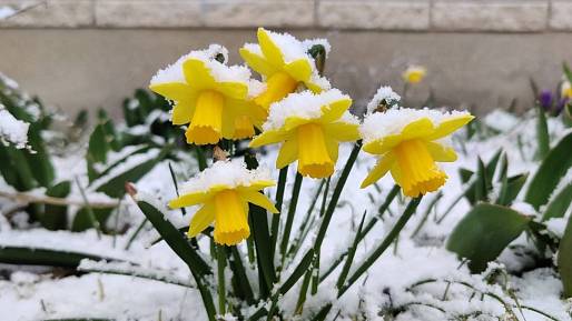 Meteorologové varují: Česko čekají nejpodivnější Velikonoce za 10 let. Extrém koledníky uvězní doma
