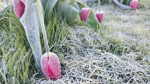 Na Česko se řítí pohroma. Takové počasí meteorologové v dubnu nečekali