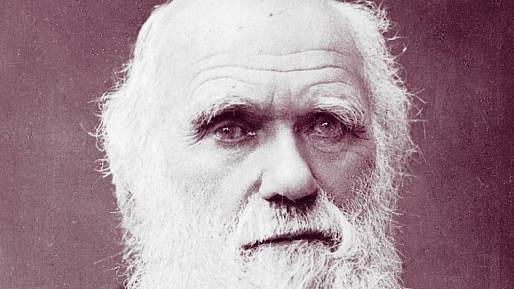 Charles Darwin byl geniální objevitel. Jeho teorie změnily svět, ale zajistily mu i mnoho nepřátel