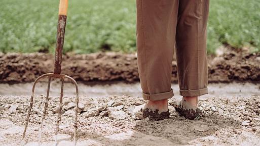 Češi vyhazují obyčejné zahradní vidle. Pořizují vychytávku, která usnadní práci o polovinu