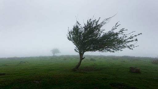 V listopadu se počasí zblázní, varují meteorologové. V Česku se budou čerti ženit