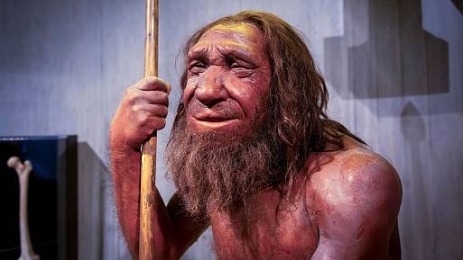 Jak poznáte, že máte neandertálské geny bez testu DNA
