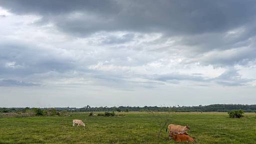 Meteorologové vydali důrazné varování. Přijde brutální ochlazení. Česko by se mělo připravit na nejhorší