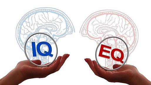 Nejde jen o IQ. Teorie mnohačetné inteligence rozděluje vědce