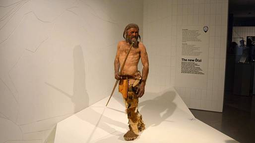 Ötzi po 30 letech: Vše bylo jinak! Nejnovější poznatky o jeho smrti a stavu mumie přepisují historii