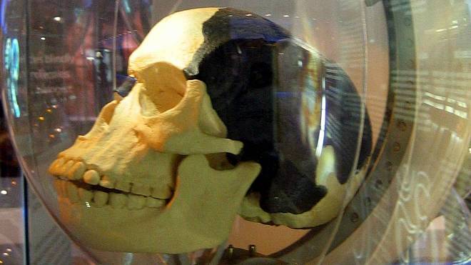 Člověk piltdownský: Nález vývojového článku mezi opicí a člověkem byl slavný paleontologický hoax