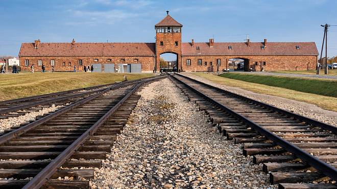 Přežila kruté zacházení i tyfus: Toto je skutečná Osvětim podle umělkyně Jany Dubové, která má s táborem osobní zkušenost