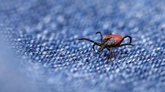 Většina Čechů tuhle mapu ignoruje. A pak si z přírody odnášejí suvenýr, který nikdo nechce