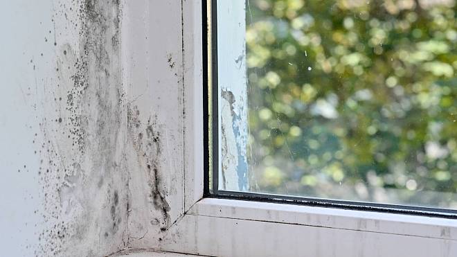 Plíseň se často tvoří v místech s nedostatečným větráním, typickým příkladem je koupelna bez okna nebo kuchyň bez účinné digestoře