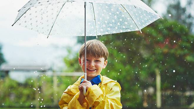 Deštník: Zapomenutý příběh věrného společníka