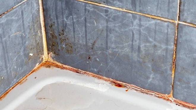 Máte-li v koupelně růžový sliz, pak je něco v nepořádku: Jedná se o biofilm tvořený bakterií