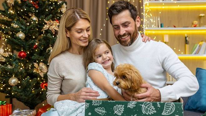 Živý dárek pod stromečkem: Radost na chvíli, starost na roky