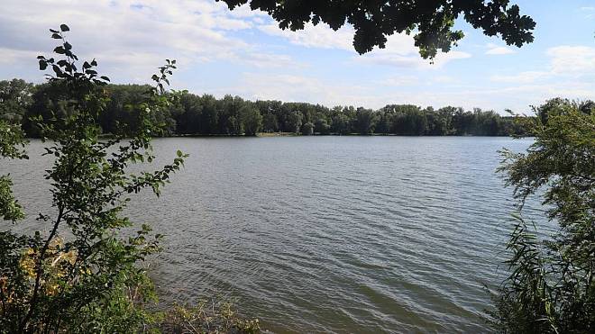 Za písečnou pláží nemusíte k moři. Jezero Sadská leží kousek od Prahy a za koupání se tu neplatí