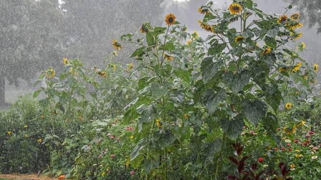Meteorologové právě aktualizovali předpověď. Do konce prázdnin čeká Česko peklo