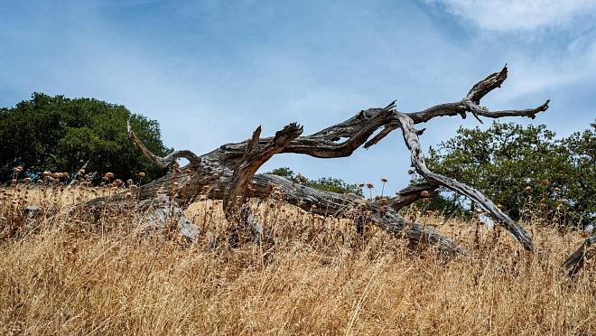 El Niño se vrací: Hrozí tropické peklo a teplotní rekordy na celé planetě