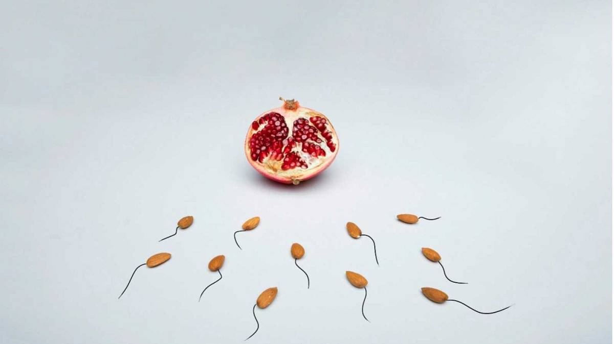 IUI nebo IVF: Jak poznat, která metoda asistované reprodukce je pro vás vhodnější?